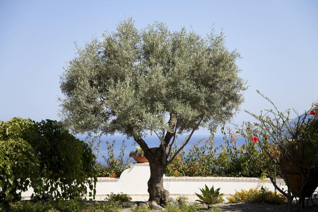 Hotel Villa Enrica - Aeolian Charme Lipari  Exterior foto